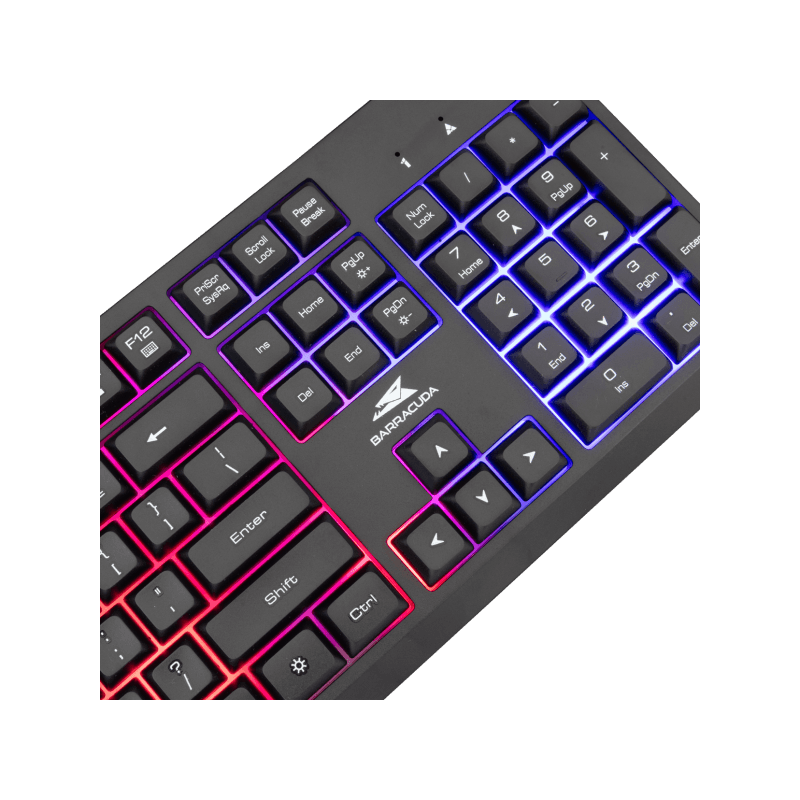 Baracuda TASTATURA BGK-02114 STARFISH Crna / US - Image 3