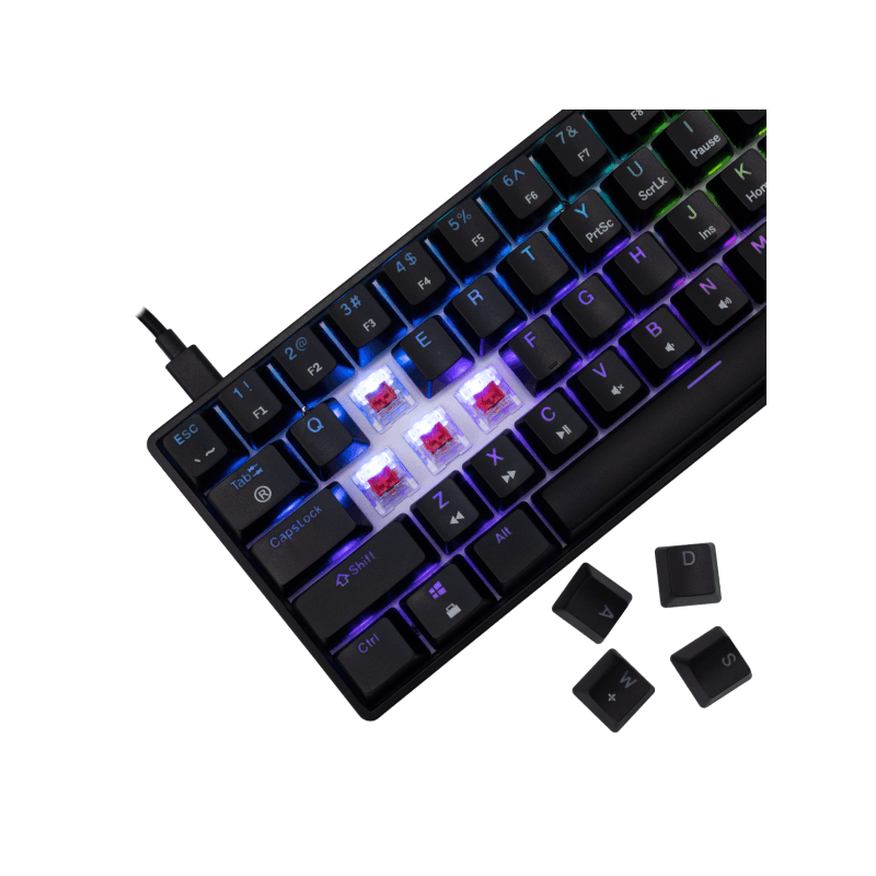 White Shark TASTATURA GK-004111 SHINOBI-2 Crna - Mehanička/ US RED SW. - Image 3