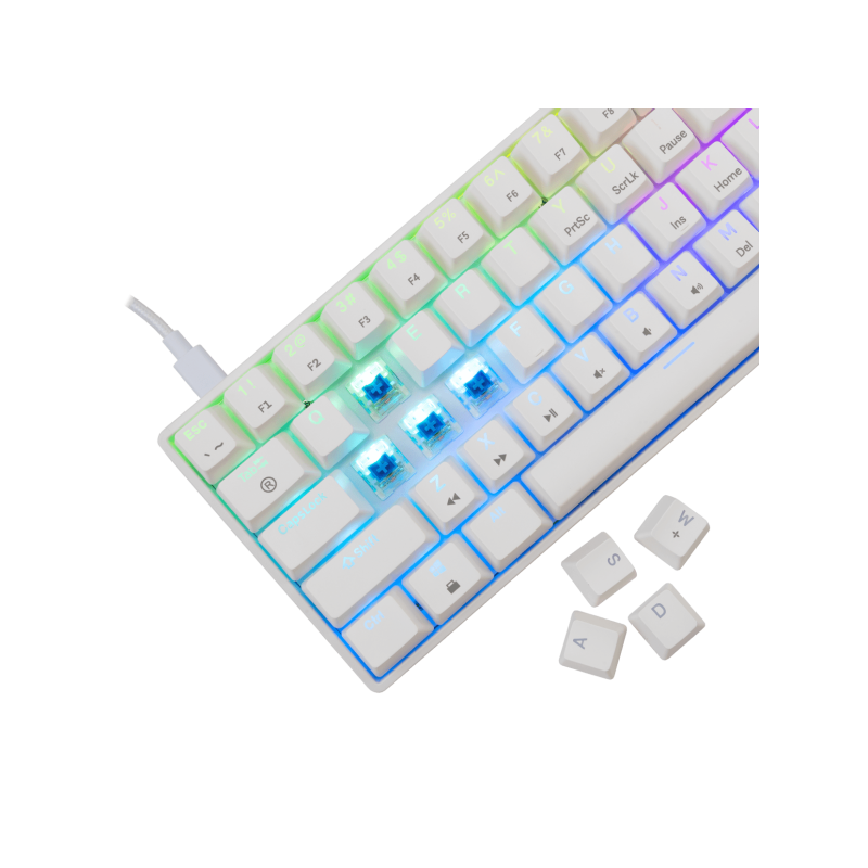 White Shark TASTATURA GK-004221 SHINOBI-2 Bijela - Mehanicka / US - BLUE SW. - Image 5