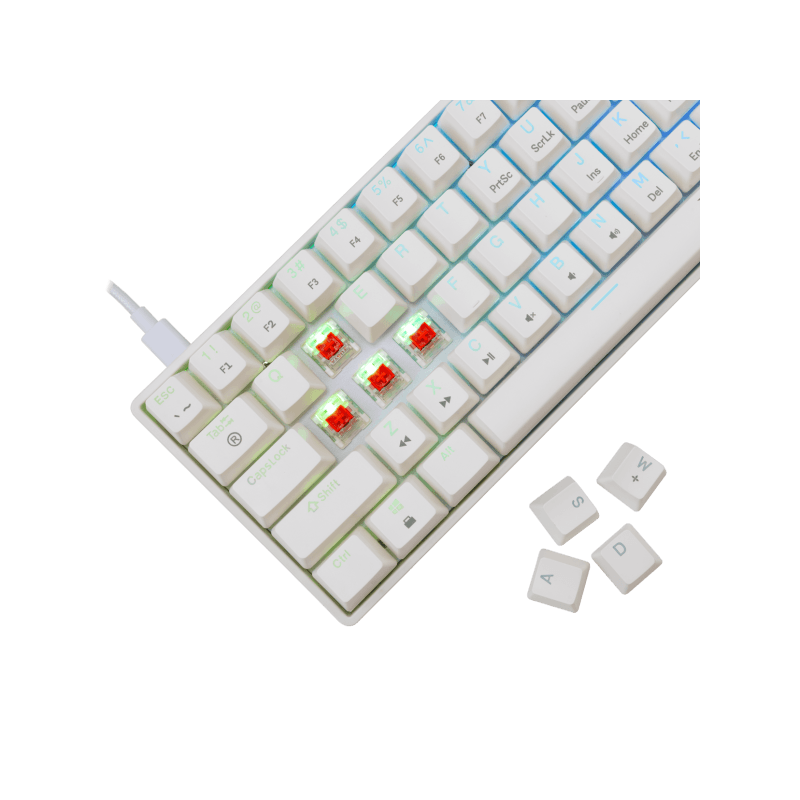 White Shark TASTATURA GK-004211 SHINOBI-2 Bijela - Mehanicka / US - RED SW. - Image 2