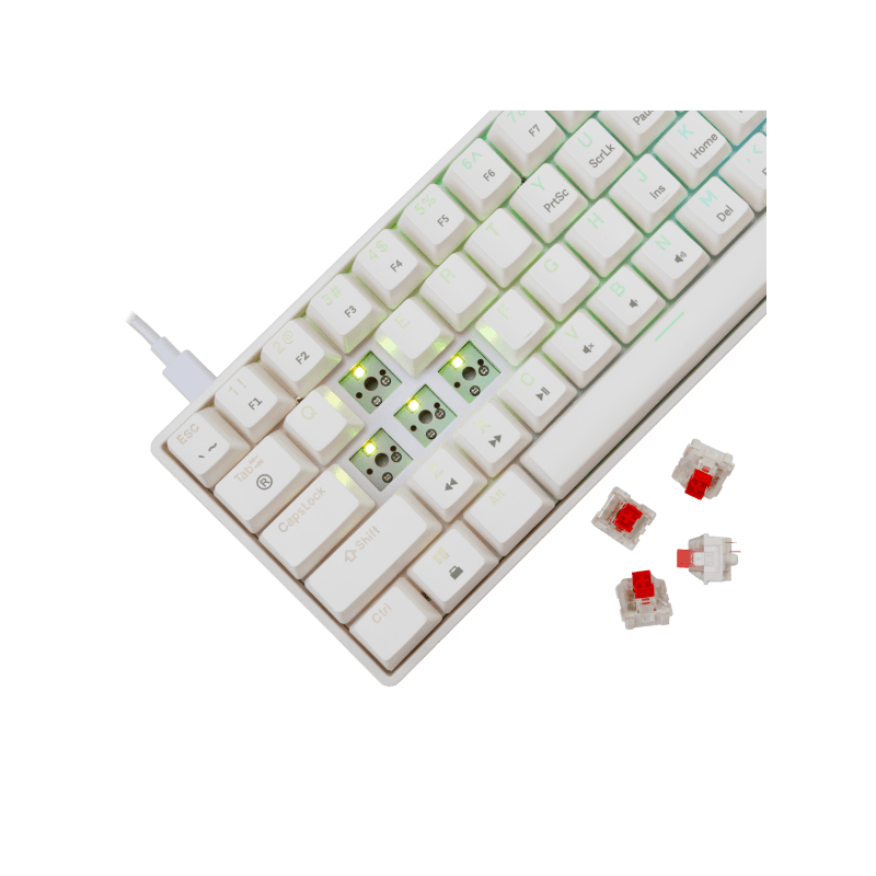 White Shark TASTATURA GK-004211 SHINOBI-2 Bijela - Mehanicka / US - RED SW. - Image 3