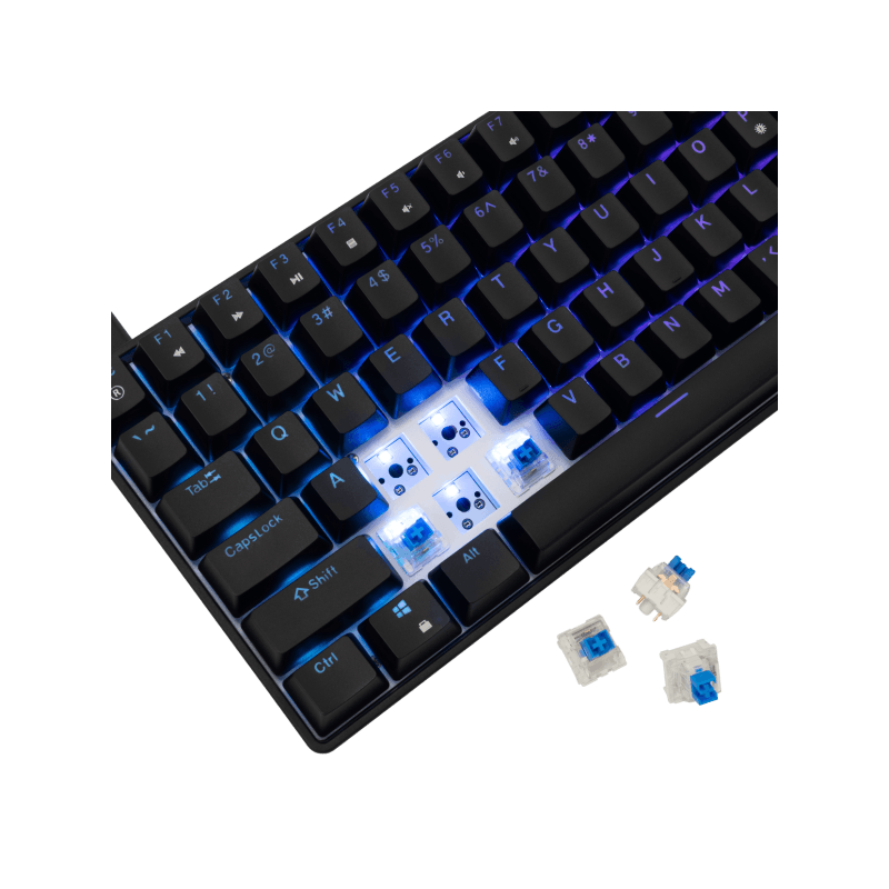 White Shark TASTATURA GK-005122 HAMACHI Mehanicka RGB/ HR - BLUE SW. - Image 3