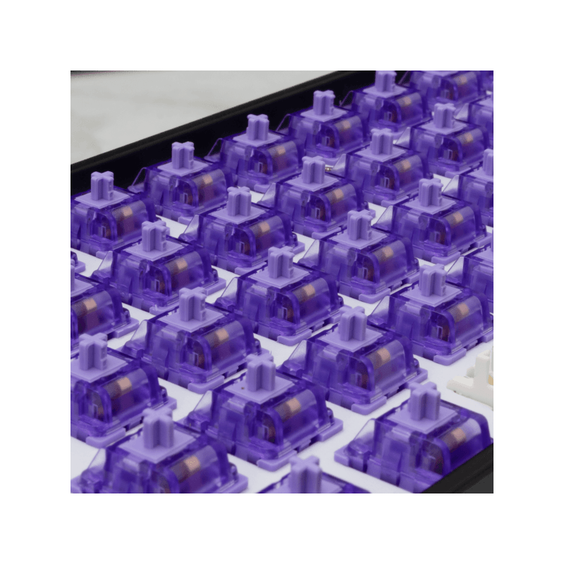 WHITE SHARK MEHANIČKI PREKIDAČ ZA TASTATURU PURPLEPULSE-65 / 65 KOM - Image 3