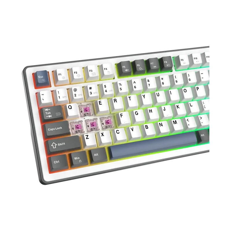 White Shark PL TASTATURA GK-007251 EXCALIBUR L Bijela / US - Image 10