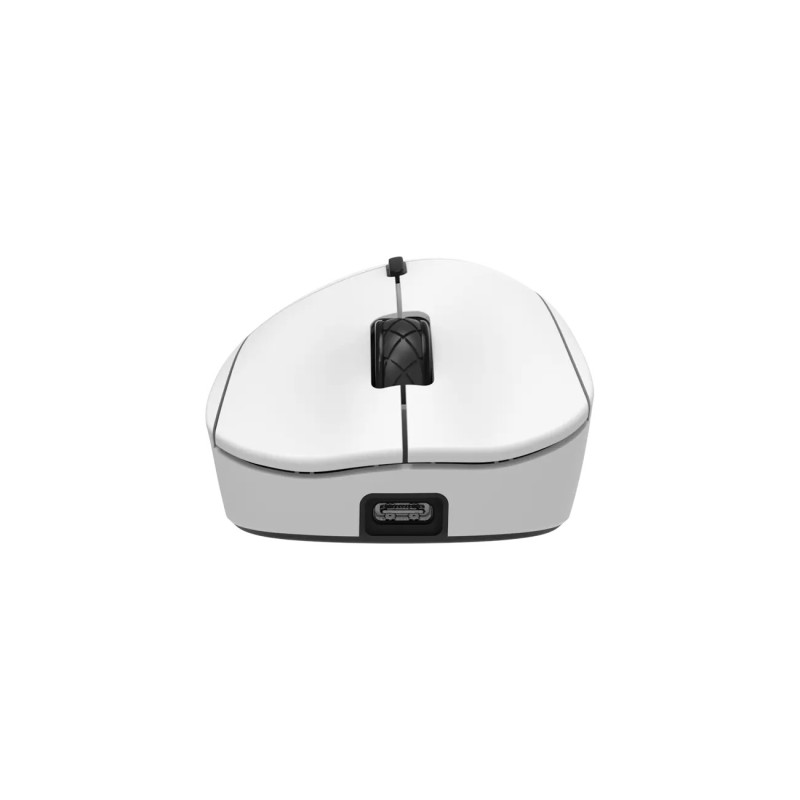 White Shark MIŠ WGM-5024 TOR / 12.000 DPI-Bijeli / Wireless - Image 6