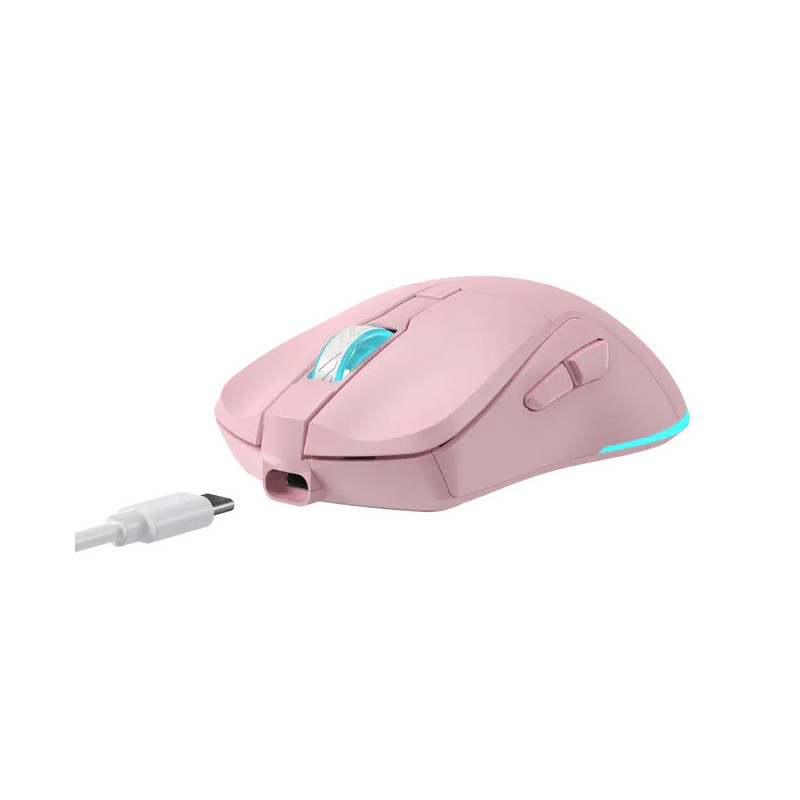 Baracuda MIŠ BGM-124 TURTLE ROZA / 3200 dpi / Wireless - Image 7