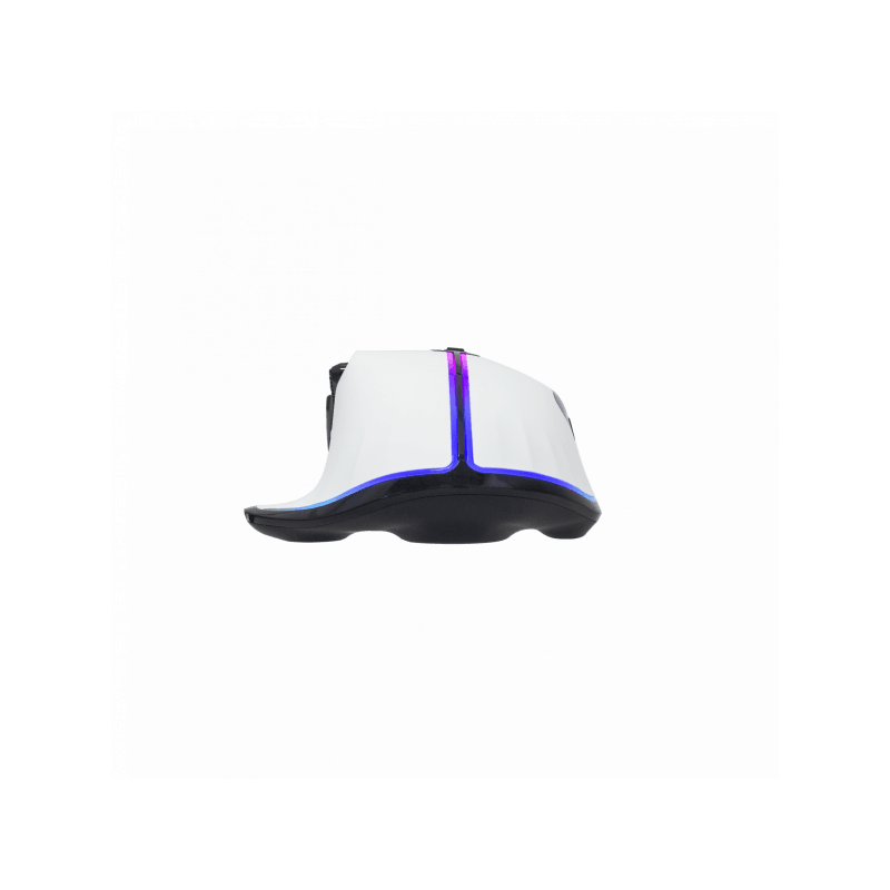White Shark MIŠ GM-9006 MARROK Bijeli RGB / 12.000 dpi - Image 5